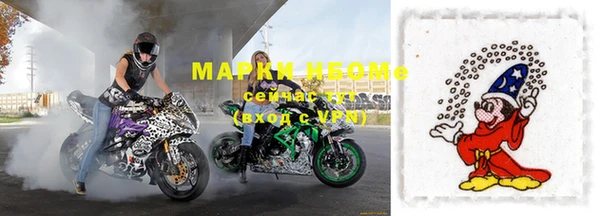 молекула духа Пестово