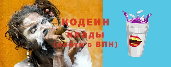 мдпв Осташков