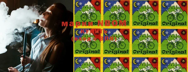 мдпв Осташков