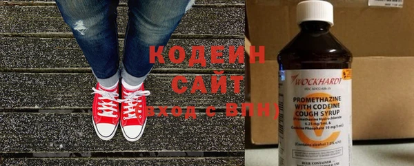 молекула духа Пестово