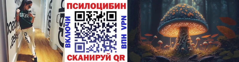 Купить где  Артём  Галлюциногенные грибы MAGIC MUSHROOMS 